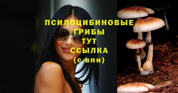 шишки Алексеевка