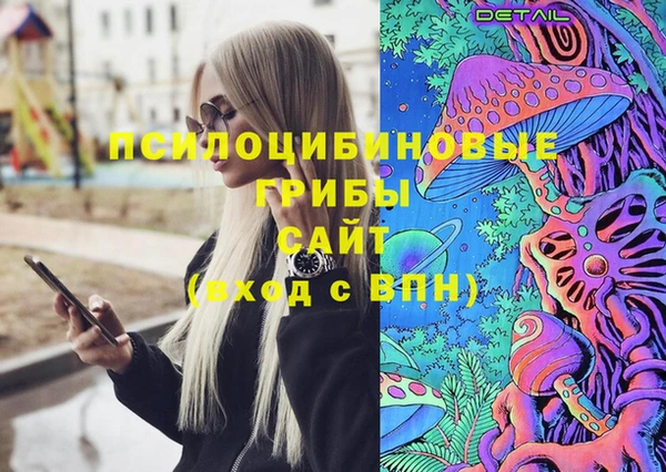 ешки Алексин