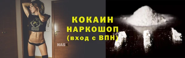 ешки Алексин