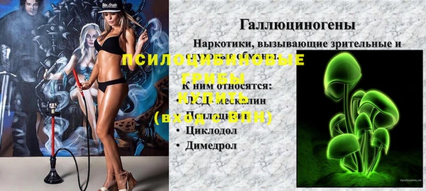 винт Алзамай