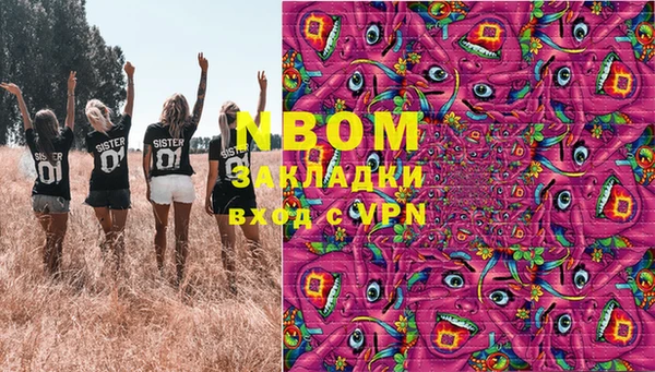 ешки Алексин
