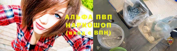 ешки Алексин