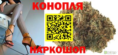 прущие грибы Краснокаменск