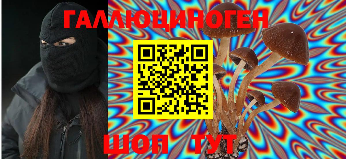 Псилоцибиновые грибы прущие грибы Ипатово